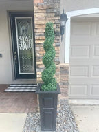 all season green 4' spiral boxwood topiary trees, side view