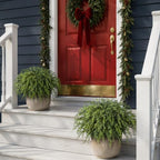 artificial christmas cedar topiary ball tree for front, front angle view