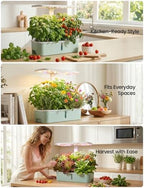 letpot lph-air hydroponics growing system kits, app & on a desk or shelf