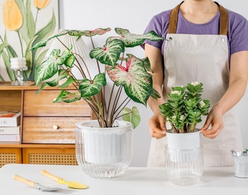melphoe self watering hanging planters indoor flower pots on a desk or shelf