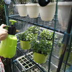 worth garden 50% extra wide mini greenhouse 5 on a desk or shelf