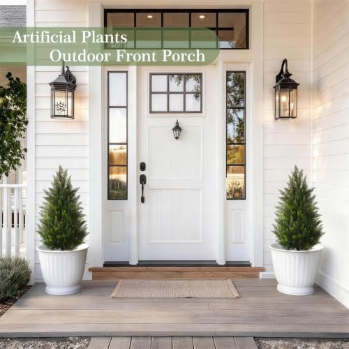 vitalismo 3ft artificial cedar trees set of 2, front angle view