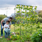 71" x 71" cucumber trellis for raised bed on a desk or shelf