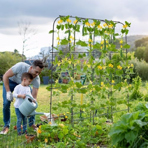 71" x 71" cucumber trellis for raised bed on a desk or shelf
