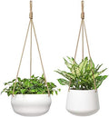 mkono ceramic hanging planters for indoor plants, 8", main product view