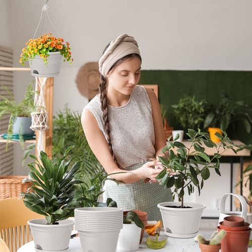 roshtia 10 pcs 10 inch hanging baskets for, main product view