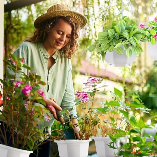 roshtia 50 pack 5.1 inch plastic hanging plant on a desk or shelf