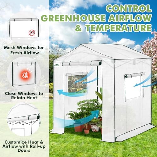 eagle peak 6x6 pop up walk in greenhouse, package contents