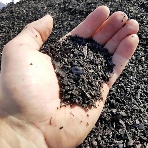 char bliss (24 qts) - organic biochar soil on a desk or shelf