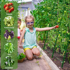 cucumber trellis for raised beds, 31 x 47, package contents