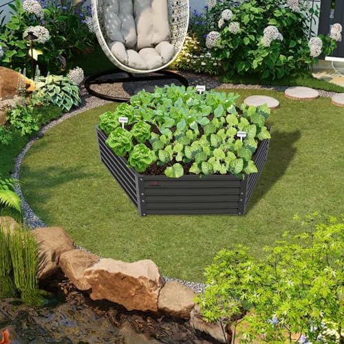 anleolife 6-bed 70x60x18in hexagon raised garden beds, quartz on a desk or shelf