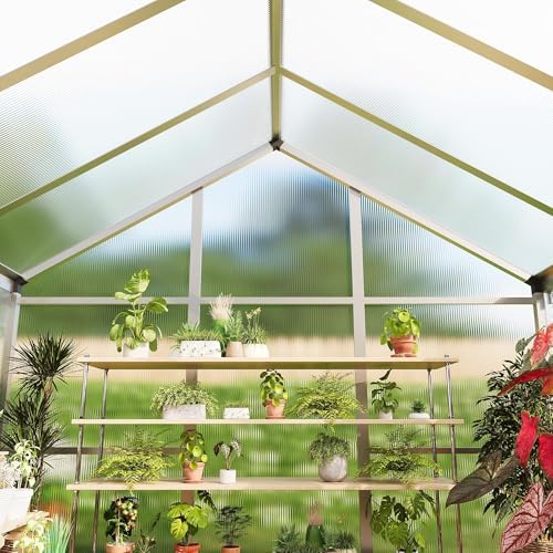 6x10 ft greenhouse, easy assembly aluminum polycarbonate greenhouses on a desk or shelf