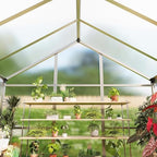 6x10 ft greenhouse, easy assembly aluminum polycarbonate greenhouses on a desk or shelf