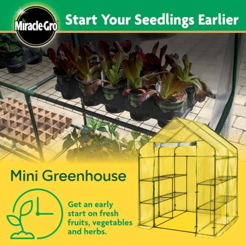 miracle-gro walk-in greenhouse, removable shelves, clear, 4'8" square showing dimensions