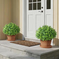 artificial boxwood topiary ball trees for front door, close-up detail