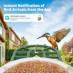 harymor smart bird feeder with camera - ai on a desk or shelf