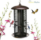 nature's rhythm metal hopper bird feeder two chambers，heavy shown in use