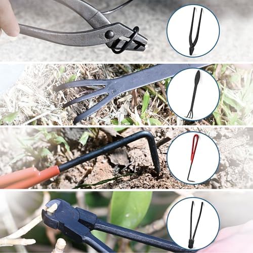 bonsai tree kit, bonsai tool set,carbon steel scissors, package contents