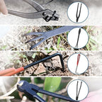 bonsai tree kit, bonsai tool set,carbon steel scissors, package contents
