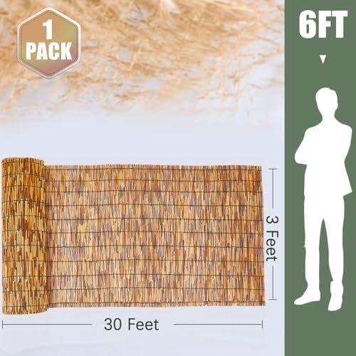 barydat 1 pcs 3 x 30 ft reed shown in use