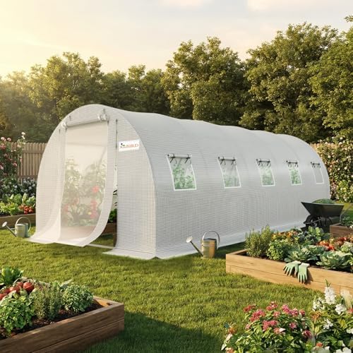 king bird premium 25x10x6.6ft greenhouse for outdoors, large, view 9