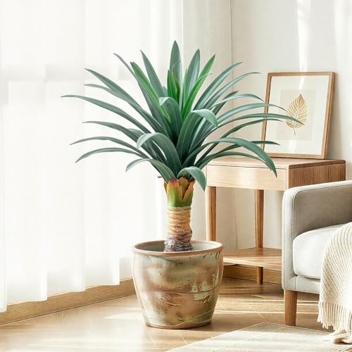 gray leaves artificial agave plant with 36 leaves shown in use