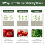vego garden 8.0ft long tomato metal frame trellis on a desk or shelf