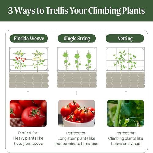 vego garden 8.0ft long tomato metal frame trellis on a desk or shelf