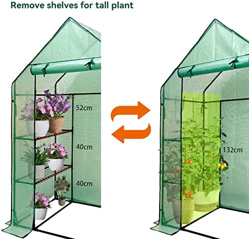 walk in greenhouse with shelves,walk-in plant plastic green shown in use