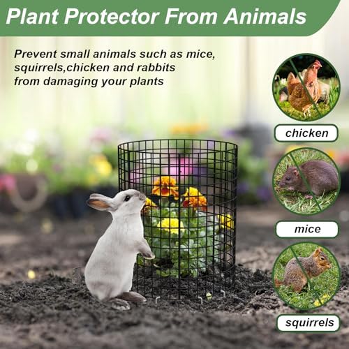 plant protector from animals, 13.5" dia x 14", front angle view