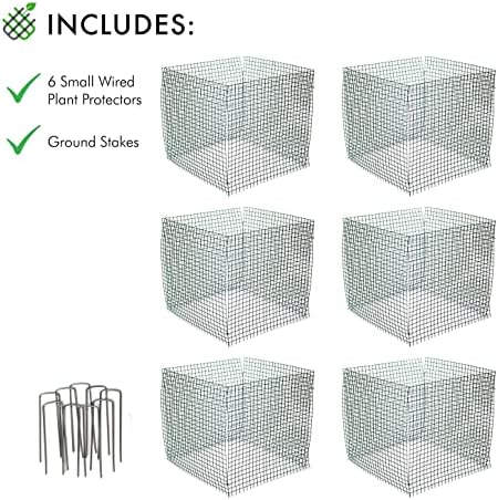 6 new small wire plant protectors, 12" square, close-up detail