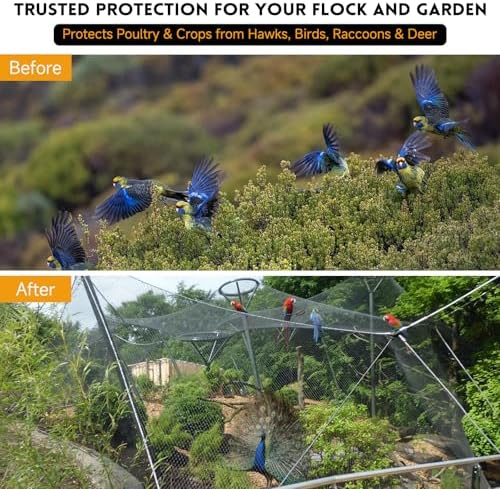 heavy duty bird netting for garden with 1" on a desk or shelf