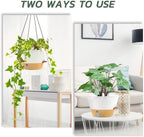 zmtech large 12inch self watering hanging planter, water, package contents