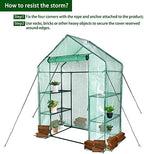 portable walk-in greenhouse for outdoors, 56x30x76 plant house on a desk or shelf