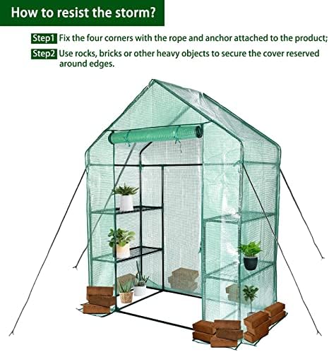 portable walk-in greenhouse for outdoors, 56x30x76 plant house on a desk or shelf