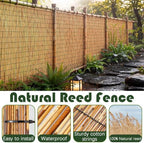 barydat 2 pcs 4 x 16.4 ft reed, side view