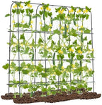 71" x 71" cucumber trellis for raised bed, main product view