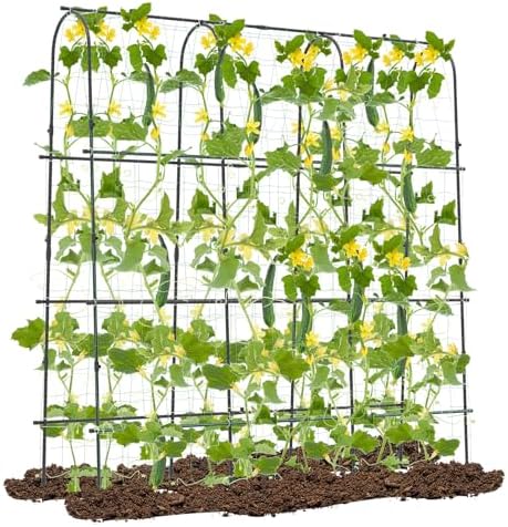 71" x 71" cucumber trellis for raised bed, main product view