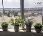 small fake plants in white pulp pot for, view 9