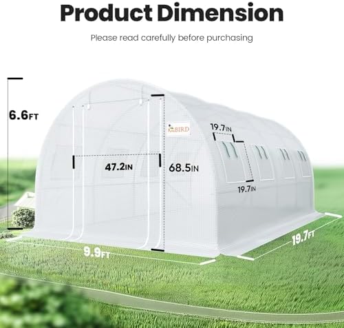 king bird premium 20x10x6.6ft greenhouse for outdoors large shown in use