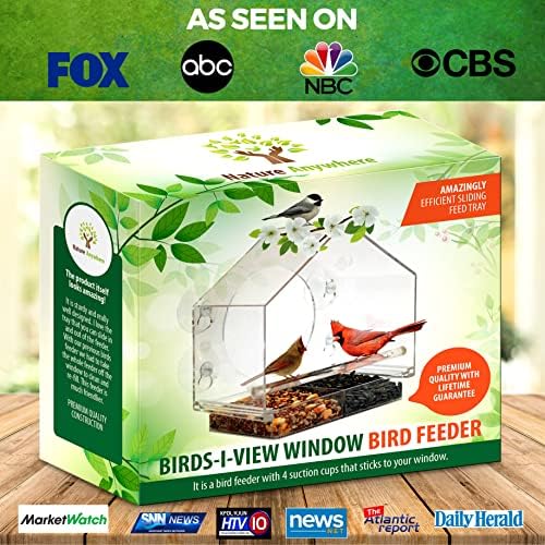 window bird feeder with strong suction cups, bird, close-up detail