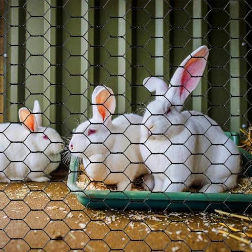 pvc hexagonal poultry netting chicken wire 12" x150' showing dimensions
