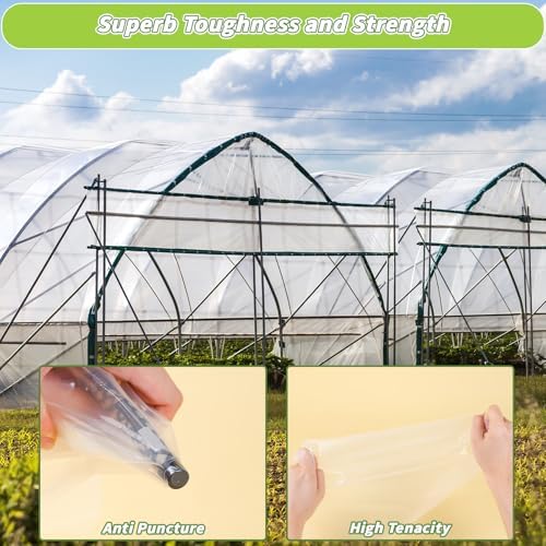 6 mil greenhouse plastic sheeting, 10 x 50 shown in use