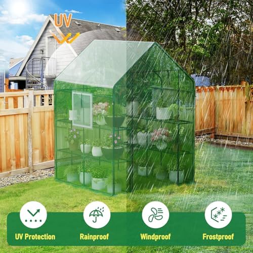 specilite 56×56×78inch walk-in greenhouse for outdoors garden plant shown in use