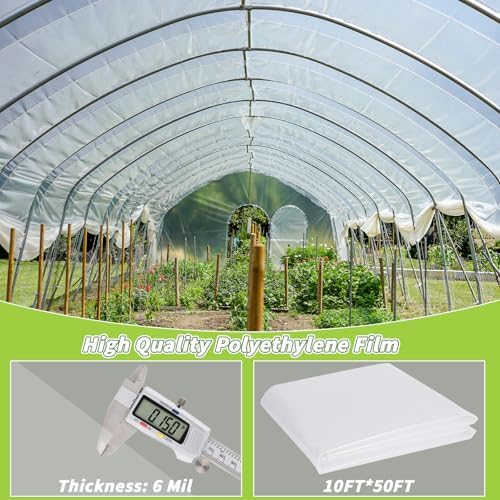 6 mil greenhouse plastic sheeting, 10 x 50 showing dimensions