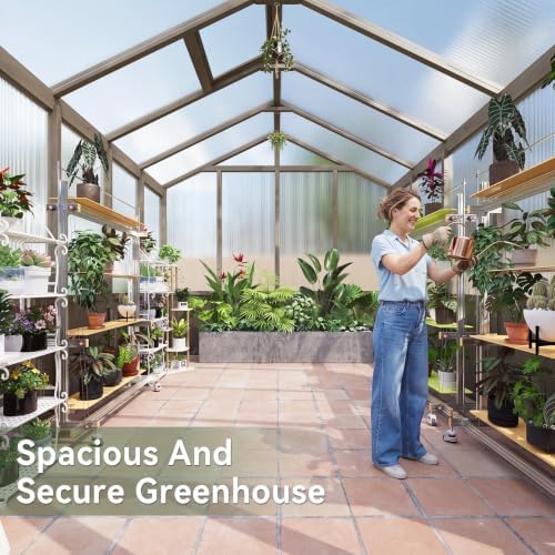 aoxun 8x10 ft wooden greenhouse for outdoors, 6mm on a desk or shelf