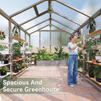 aoxun 8x10 ft wooden greenhouse for outdoors, 6mm on a desk or shelf