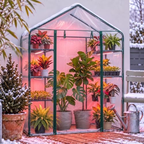 docred indoor greenhouse with grow light, 4-tier mini, front angle view