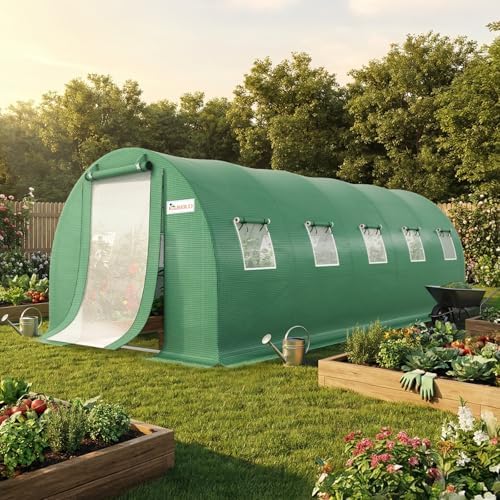king bird premium 25x10x6.6ft greenhouse for outdoors, large, view 9