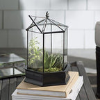 h potter six-sided glass terrarium wardian case succulent on a desk or shelf